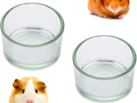 2 Pcs Hamster Food and Water Bowl Glass Anti-Turning Transparent Dish for Hamster and Other Small Pet Cheap